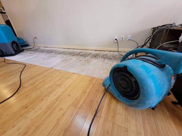 Professional Sewage Cleanup technician working in Seven Mile, AZ